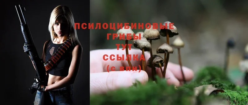 Галлюциногенные грибы Magic Shrooms  купить   Раменское 